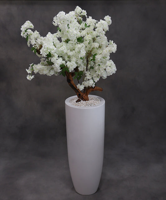 WHITE CHERRY BLOSSOM